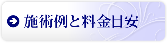 施術例と料金目安