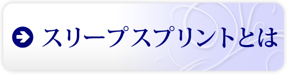 スリープスプリントとは